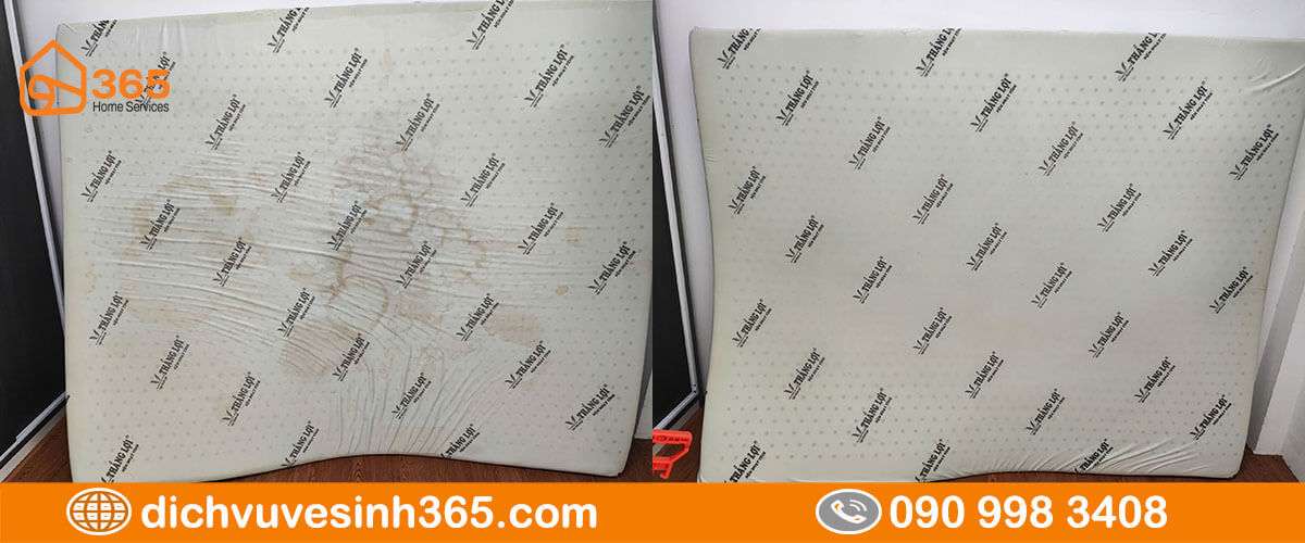 Nệm bị thú cưng làm bẩn trước và sau giặt